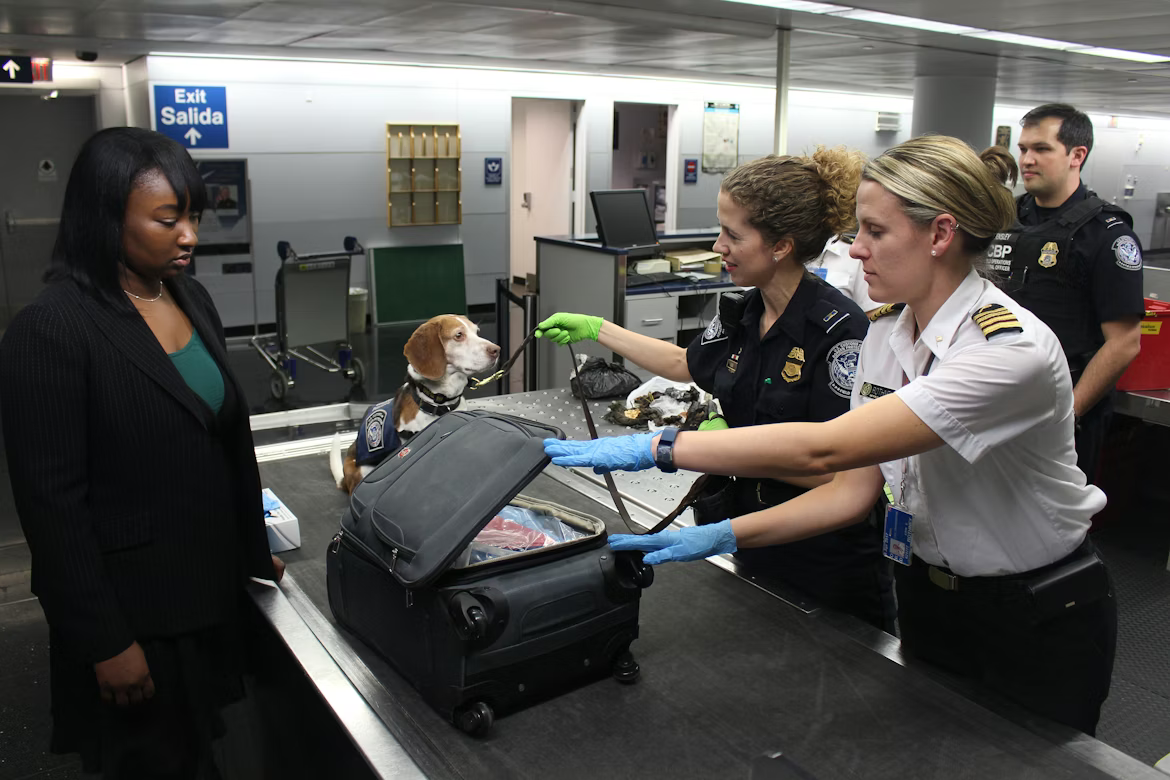 Biosecurity & Customs: What Parents Shouldn't Carry